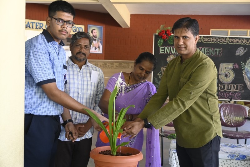 IMG-GALLERY